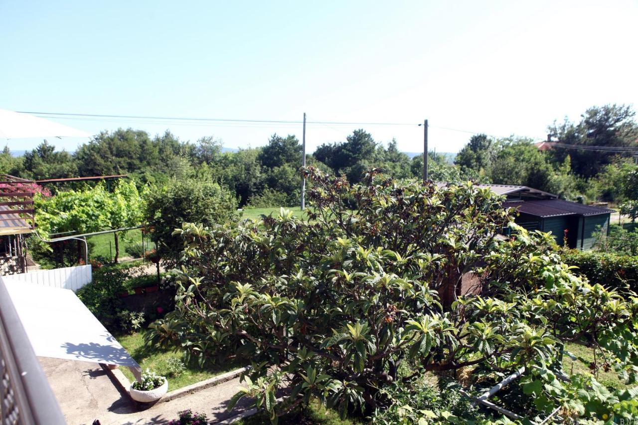 Pure Nature Coastal Apartment Vlasta Ankaran Luaran gambar